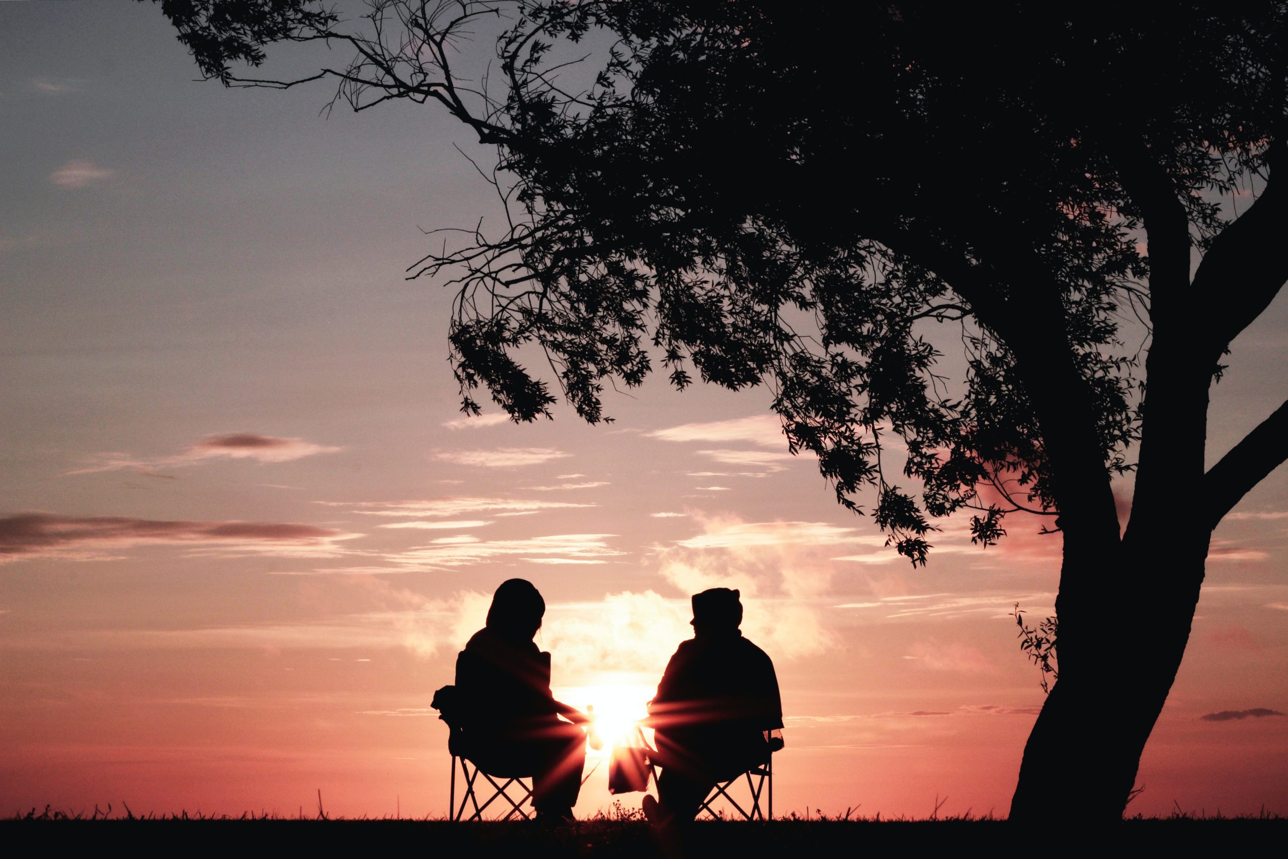 Couple sitting by a tree at sunset